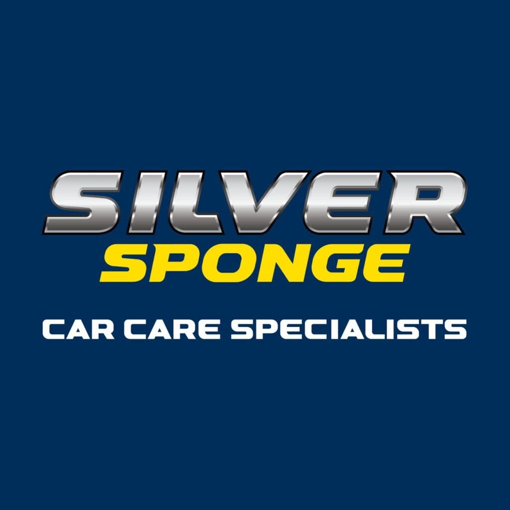 Silver Sponge